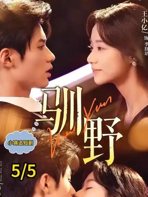 热播电视剧全集无声证词手机免费在线观看